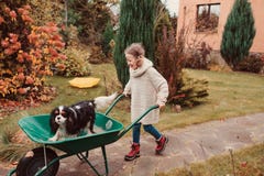 Ragazza divertente felice del bambino che guida il suo cane in carriola nel giardino di autunno, bloccaggio all'aperto schietto Immagini Stock Ragazza divertente felice del bambino che guida il suo cane in carriola nel giardino di autunno, bloccaggio all'aperto schietto Immagini Stock