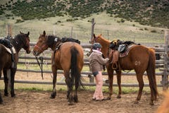 Ragazza in recinto per bestiame che sella il suo cavallo per un trailride immagine stock libera da diritti Ragazza in recinto per bestiame che sella il suo cavallo per un trailride immagine stock libera da diritti