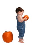 Ragazzo della zucca immagini stock libere da diritti Ragazzo della zucca immagini stock libere da diritti