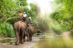 Raggruppi i turisti per guidare sull'elefante in foresta Chiang Mai immagini stock libere da diritti Raggruppi i turisti per guidare sull'elefante in foresta Chiang Mai immagini stock libere da diritti
