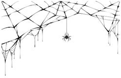 Ragno nero e web lacerato Ragnatela spaventosa del simbolo di Halloween Ragno nero e web lacerato Ragnatela spaventosa del simbolo di Halloween