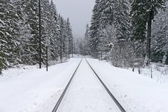 Railroad Tracks In Winter Royalty Free Stock Photography