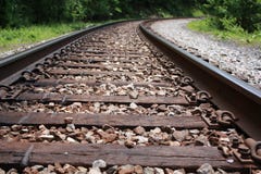 Railroad Tracks Stretch Into Forest Royalty Free Stock Images