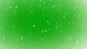 Hình ảnh giọt mưa rơi trên kính với nền Green Screen sẽ giúp bạn cảm nhận được vẻ đẹp tự nhiên và thanh thản từ những cơn mưa nhẹ. Bạn sẽ được khám phá được nhiều ý tưởng sáng tạo hơn khi tạo nội dung với hình ảnh này.