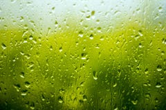 Rain Drops On The Glass. Stock Photos