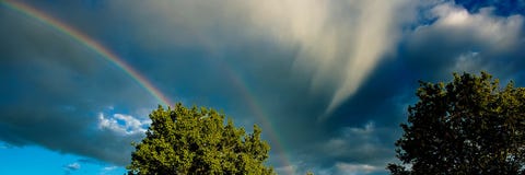 Rainbows And Treetops Against The Backdrop Of Rain Clouds, Sunny Day.Web Banner Stock Photo