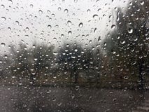 raindrops pleuvoir photo stock raindrops pleuvoir photo stock