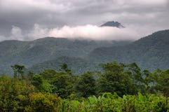 Rainforest royaltyfria bilder Rainforest royaltyfria bilder