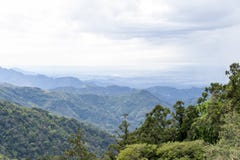 rainforest stock photo rainforest stock photo
