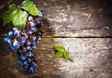 Raisins bleus sur le panneau rustique photographie stock libre de droits Raisins bleus sur le panneau rustique photographie stock libre de droits