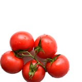 Rama del tomate rojo en un fondo blanco fotos de archivo libres de regalías Rama del tomate rojo en un fondo blanco fotos de archivo libres de regalías