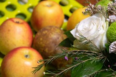 Ramalhete bonito das flores e dos frutos imagem de stock Ramalhete bonito das flores e dos frutos imagem de stock