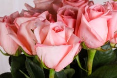 Ramalhete cor-de-rosa das rosas fotografia de stock Ramalhete cor-de-rosa das rosas fotografia de stock