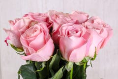 Ramalhete cor-de-rosa das rosas imagens de stock Ramalhete cor-de-rosa das rosas imagens de stock
