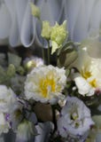 ramalhete das flores brancas vermelhas compostas em uma composição bonita foto de stock ramalhete das flores brancas vermelhas compostas em uma composição bonita foto de stock