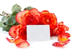 Ramalhete das rosas fotografia de stock Ramalhete das rosas fotografia de stock