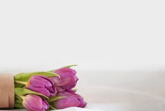 Ramalhete de tulips cor-de-rosa em um fundo branco fotos de stock Ramalhete de tulips cor-de-rosa em um fundo branco fotos de stock