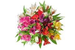 Ramalhete redondo das flores coloridos dos l?rios do alstroemeria fundo branco no close up isolado imagens de stock Ramalhete redondo das flores coloridos dos l?rios do alstroemeria fundo branco no close up isolado imagens de stock