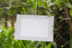 Ramar av att hänga för papper i staketet av foderlantgårdar royaltyfri foto Ramar av att hänga för papper i staketet av foderlantgårdar royaltyfri foto