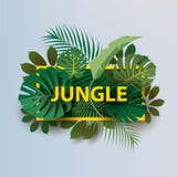 Ramas capítulo de plantas tropicales con la inscripción ‘SELVA ‘ stock de ilustración Ramas capítulo de plantas tropicales con la inscripción ‘SELVA ‘ stock de ilustración