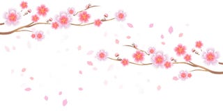 Ramas de volar de Sakura y de los pétalos aislado en el fondo blanco flores del Apple-árbol Cherry Blossom Vector EPS 10, cmyk ilustración del vector Ramas de volar de Sakura y de los pétalos aislado en el fondo blanco flores del Apple-árbol Cherry Blossom Vector EPS 10, cmyk ilustración del vector
