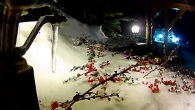 Ramas de árbol de navidad y bayas rojas en una linterna debajo de una nieve que cae metrajes Ramas de árbol de navidad y bayas rojas en una linterna debajo de una nieve que cae metrajes