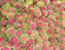 Rambutan in the market stock photo Rambutan in the market stock photo