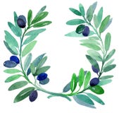 Rami di ulivo. royalty illustrazione gratis Rami di ulivo. royalty illustrazione gratis