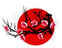 Ramificación de SAKURA Ramificación de SAKURA
