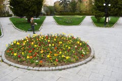 Ramnicu Valcea, Roumanie 02 04 2019 - Le beau parc de Zavoi dans un jour ensoleillé de ressort image stock Ramnicu Valcea, Roumanie 02 04 2019 - Le beau parc de Zavoi dans un jour ensoleillé de ressort image stock