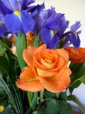 Ramo de rosas y Iris Orange y tema azul Imagenes de archivo Ramo de rosas y Iris Orange y tema azul Imagenes de archivo