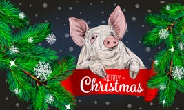 Ramos de árvore do abeto com porco O fundo do encanto do Feliz Natal com ramo do pinho e os cumprimentos text Ano novo feliz 2019 ilustração do vetor Ramos de árvore do abeto com porco O fundo do encanto do Feliz Natal com ramo do pinho e os cumprimentos text Ano novo feliz 2019 ilustração do vetor