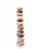 Rang?e verticale des haricots multicolores sur le fond blanc Onze haricots nains crus Plan rapproch? photos stock Rang?e verticale des haricots multicolores sur le fond blanc Onze haricots nains crus Plan rapproch? photos stock