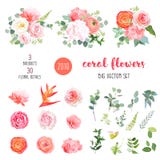 Ranúnculo anaranjado, rosa rosada, hortensia, clavel coralino, jardín stock de ilustración Ranúnculo anaranjado, rosa rosada, hortensia, clavel coralino, jardín stock de ilustración