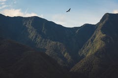 Rapace salente sopra i picchi di montagna irregolari immagini stock Rapace salente sopra i picchi di montagna irregolari immagini stock