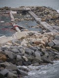 Rapallo Italy November/5/2018 - Disastrous outcome of a powerful storm that occurred on the night of October 29 in the harbor of stock photos Rapallo Italy November/5/2018 - Disastrous outcome of a powerful storm that occurred on the night of October 29 in the harbor of stock photos