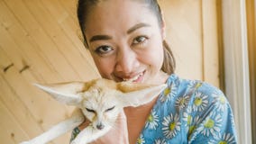 Raposa de Fennec com mulher foto de stock Raposa de Fennec com mulher foto de stock