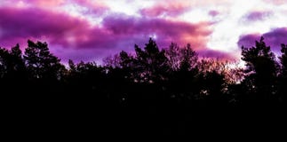 Rare winter weather phenomenon in the sky, pink and purple polar stratospheric clouds, forest landscape background stock image Rare winter weather phenomenon in the sky, pink and purple polar stratospheric clouds, forest landscape background stock image