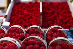 Rasberries for sale at the market stock photography Rasberries for sale at the market stock photography