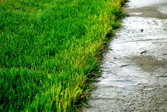 Rasen Auf Beton Stockfoto Bild Von Methode Teppich 32480332