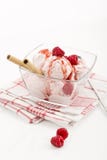 Raspberry icecream with fresh raspberries and waffle rolls stock images Raspberry icecream with fresh raspberries and waffle rolls stock images