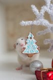 Rato engraçado bonito em um fundo de decorações do Natal imagem de stock Rato engraçado bonito em um fundo de decorações do Natal imagem de stock