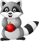 Raton laveur de bande dessinée tenant la pomme illustration libre de droits Raton laveur de bande dessinée tenant la pomme illustration libre de droits