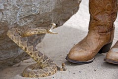 Rattle Snake With Western Boots Royalty Free Stock Photos