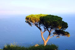 Ravello στοκ εικόνα με δικαίωμα ελεύθερης χρήσης Ravello στοκ εικόνα με δικαίωμα ελεύθερης χρήσης