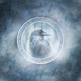 Raven Spirit arkivbilder Raven Spirit arkivbilder