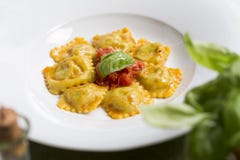 Ravioli och ingredienser arkivbild Ravioli och ingredienser arkivbild
