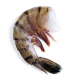 Raw Black Tiger Shrimp Stock Photos