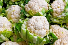 Raw Cauliflowers Stock Photos