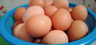 Raw chicken eggs, brown, several eggs, placed in a tray, home food, useful